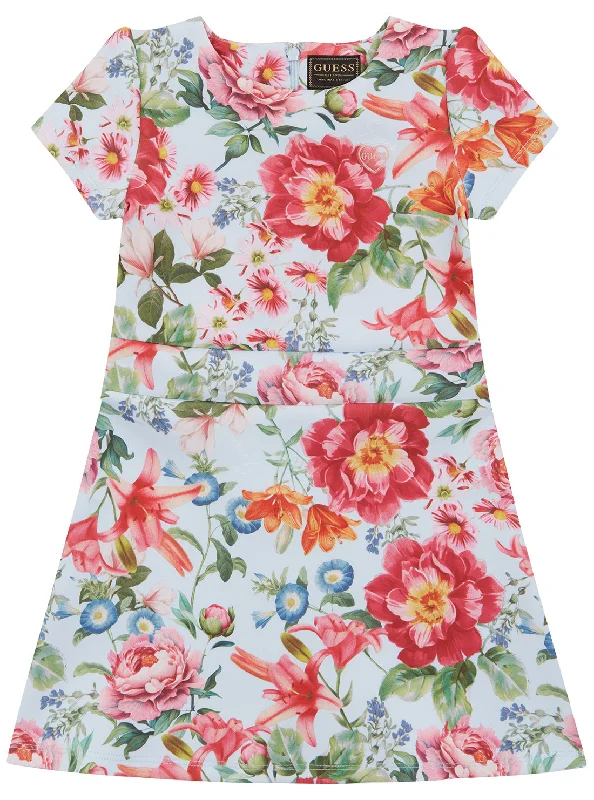 Women's Plus-Size Casual Outfit Floral Print Scuba Dress (2-7)